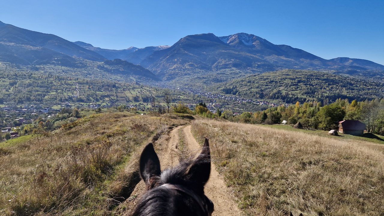 Vedere din șa, printre urechile unui cal negru, spre valea Borșei și Munții Rodnei, într-o zi senină de toamnă