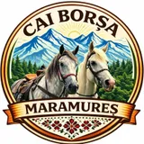 Logo Cai Borșa Maramureș