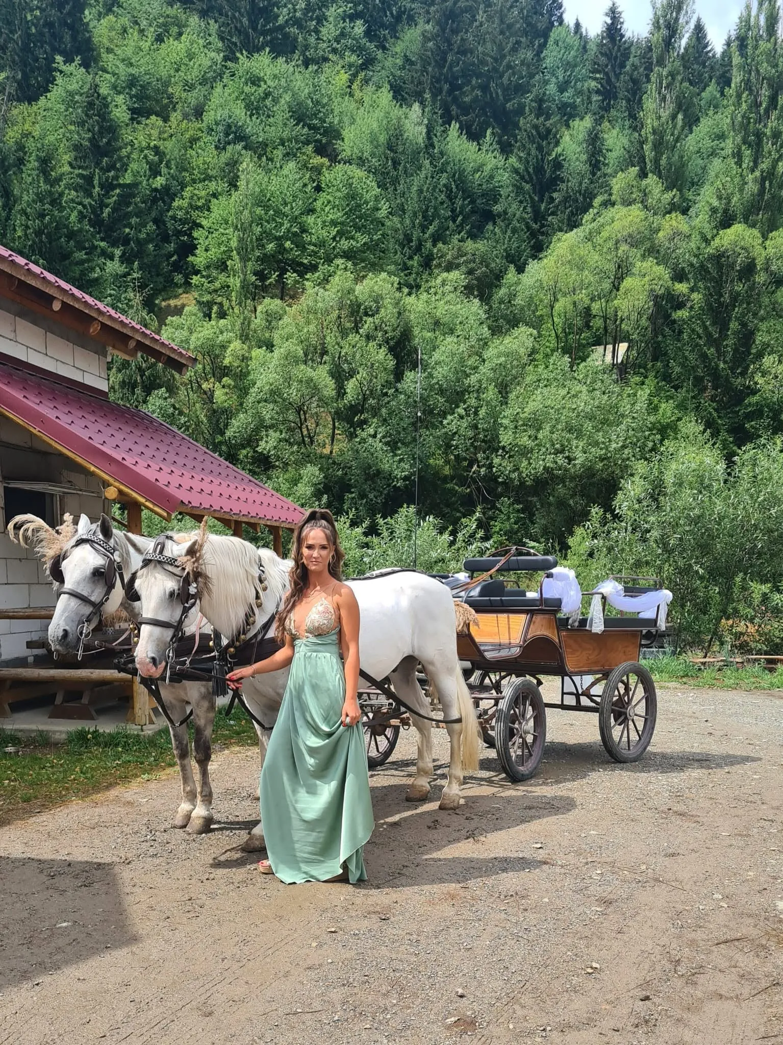 Mădălina, în rochie lungă de seară, lângă doi cai albi înhămați la o trăsură, în fața unei case de lemn