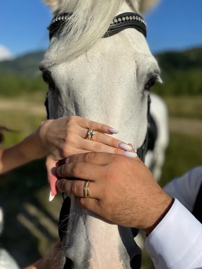 Mâinile mirilor, cu verighetele pe deget, așezate pe botul unui cal alb